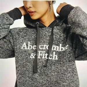 Abercrombie & Fitch Gray Fleece Hoodie Embroidered Sz XS Cozy Y2K Classic